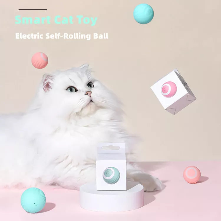 Electric Cat Ball