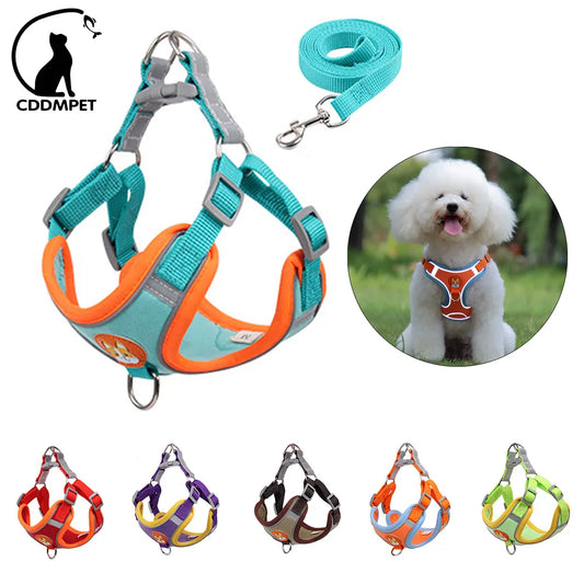 No Pull Pet Dog Harness and Leash Set